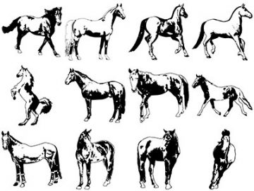 Formes Chevaux (9)