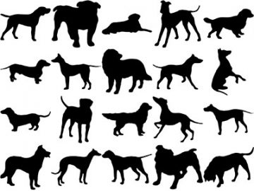 Formes : Chiens (1) Formes Chiens (1)