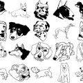 Formes Chiens (2)