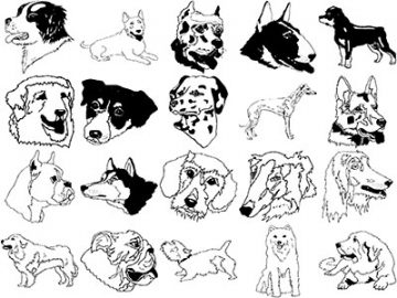 Formes Chiens (2)