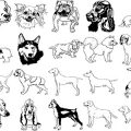 Formes Chiens (3)