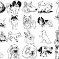Formes Chiens (4)
