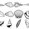 Formes Coquillages (2)