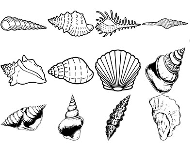 Formes Coquillages (2)