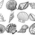 Formes Coquillages (4)