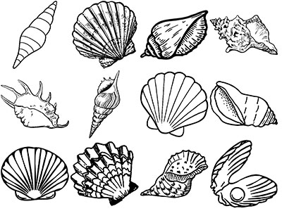 Formes Coquillages (4)