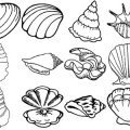 Formes Coquillages (5)