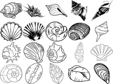 Formes Coquillages (7)