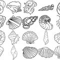 Formes Coquillages (8)