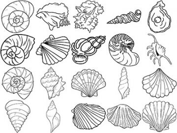 Formes Coquillages (8)