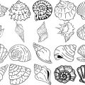 Formes Coquillages (9)