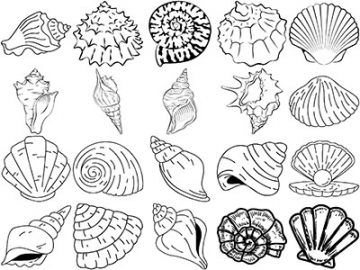 Formes Coquillages (9)