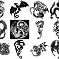 Formes Dragons (3)