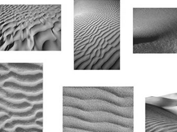 Pinceaux : Dunes de sable (2) Pinceaux Dunes de sable (02)