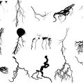 Formes Éclairs (4)