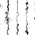 Formes Éclairs (5)