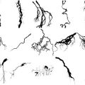 Formes Éclairs (6)