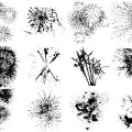 Formes Feux d'artifice (4)