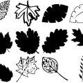 Formes Feuilles (1)