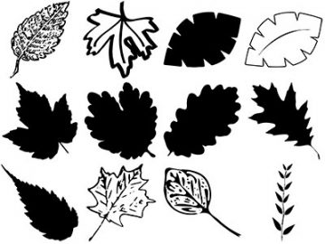 Formes Feuilles (1)