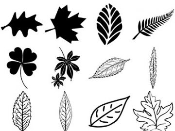 Formes Feuilles (2)