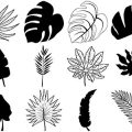 Formes Feuilles (3)