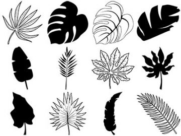 Formes Feuilles (3)