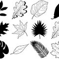 Formes Feuilles (4)