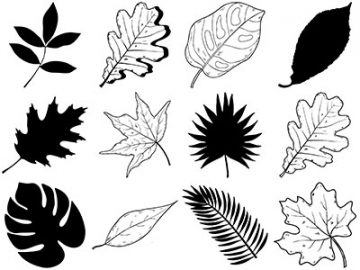 Formes Feuilles (4)