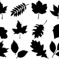 Formes Feuilles (5)