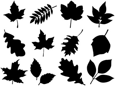 Formes Feuilles (5)