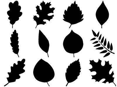 Formes Feuilles (6)