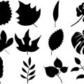 Formes Feuilles (7)