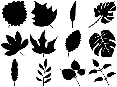 Formes Feuilles (7)