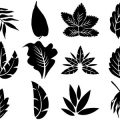 Formes Feuilles (8)