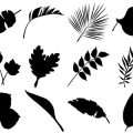 Formes Feuilles (9)