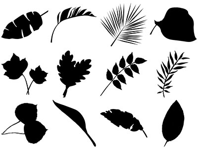 Formes Feuilles (9)
