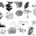 Pinceaux Fleurs (01)