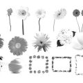 Pinceaux Fleurs (02)
