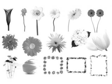 Pinceaux : Fleurs (2) Pinceaux Fleurs (02)