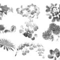 Pinceaux Fleurs (03)