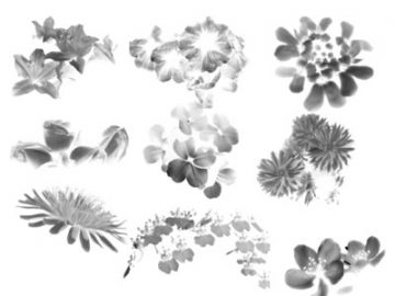 Pinceaux : Fleurs (3) Pinceaux Fleurs (03)