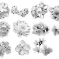 Pinceaux Fleurs (04)