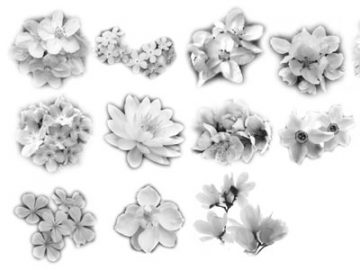 Pinceaux : Fleurs (4) Pinceaux Fleurs (04)