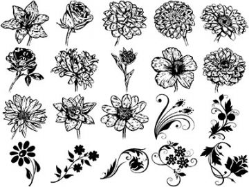 Formes ; Fleurs (18) Formes Fleurs (18)