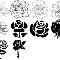 Formes Fleurs (3)