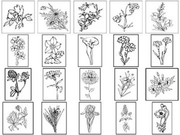 Formes Fleurs (5)