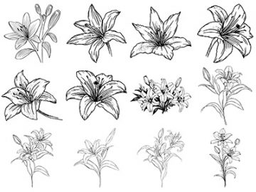 Formes : Fleurs de lys (1) Formes Fleurs de lys (1)