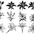 Formes Fleurs de lys (2)
