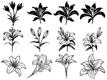 Formes : Fleurs de lys (2) Formes Fleurs de lys (2)